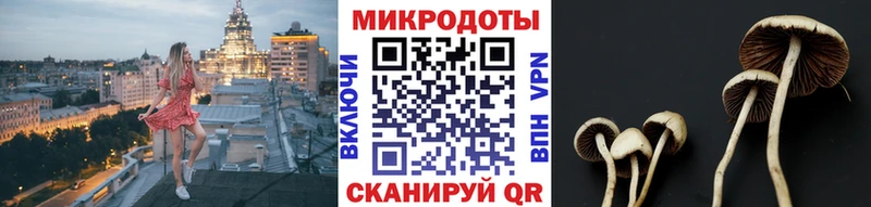 Псилоцибиновые грибы Cubensis  Купить где  Воскресенск 