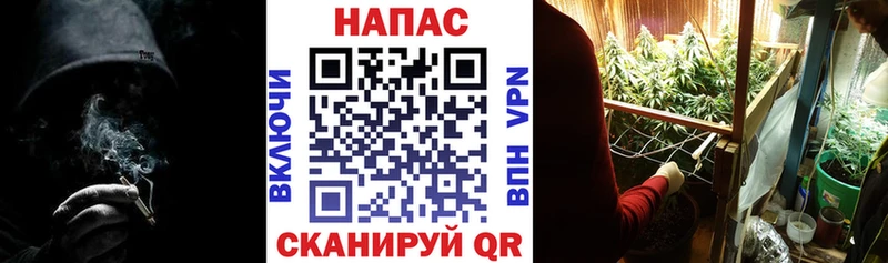 Купить  Воскресенск  Конопля OG Kush 